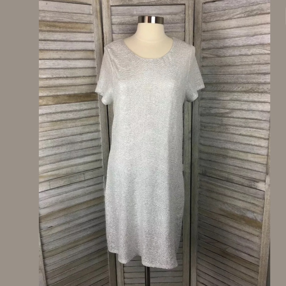 Sage Silver Shift Dress Sz L